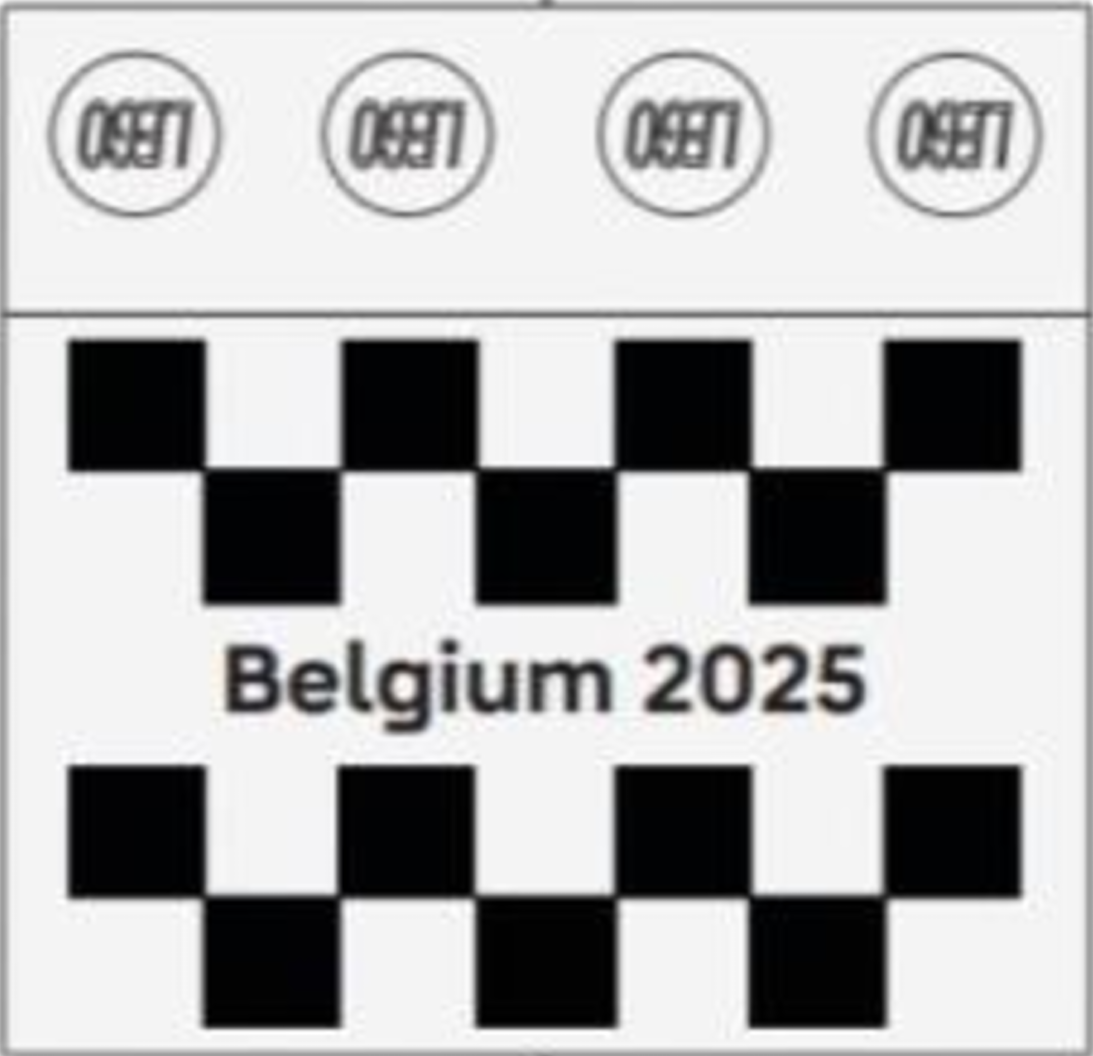 LEGO set 6597571-1 2025 Formula 1 Belgian Grand Prix Tile - Image 1