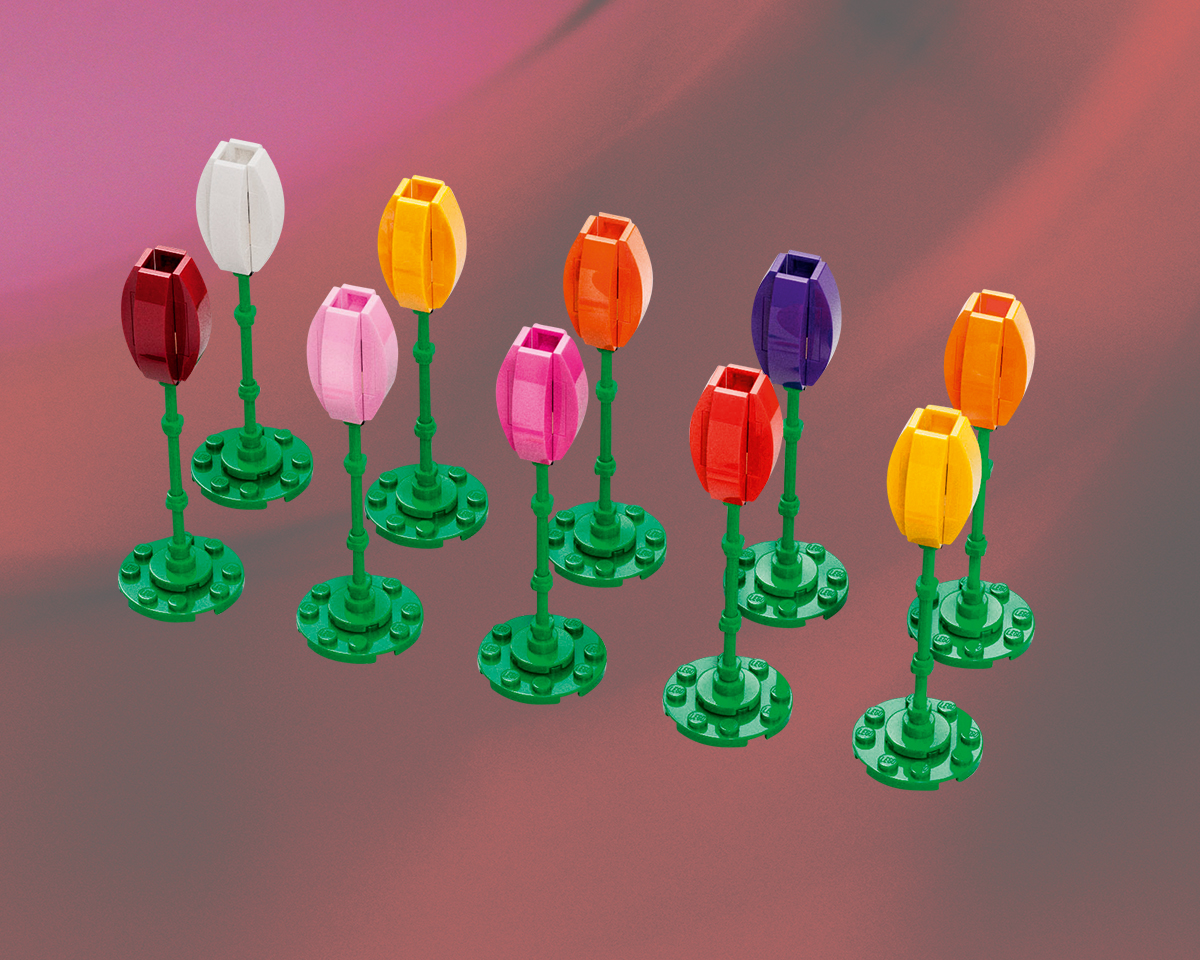 Tulips (6614218-1)