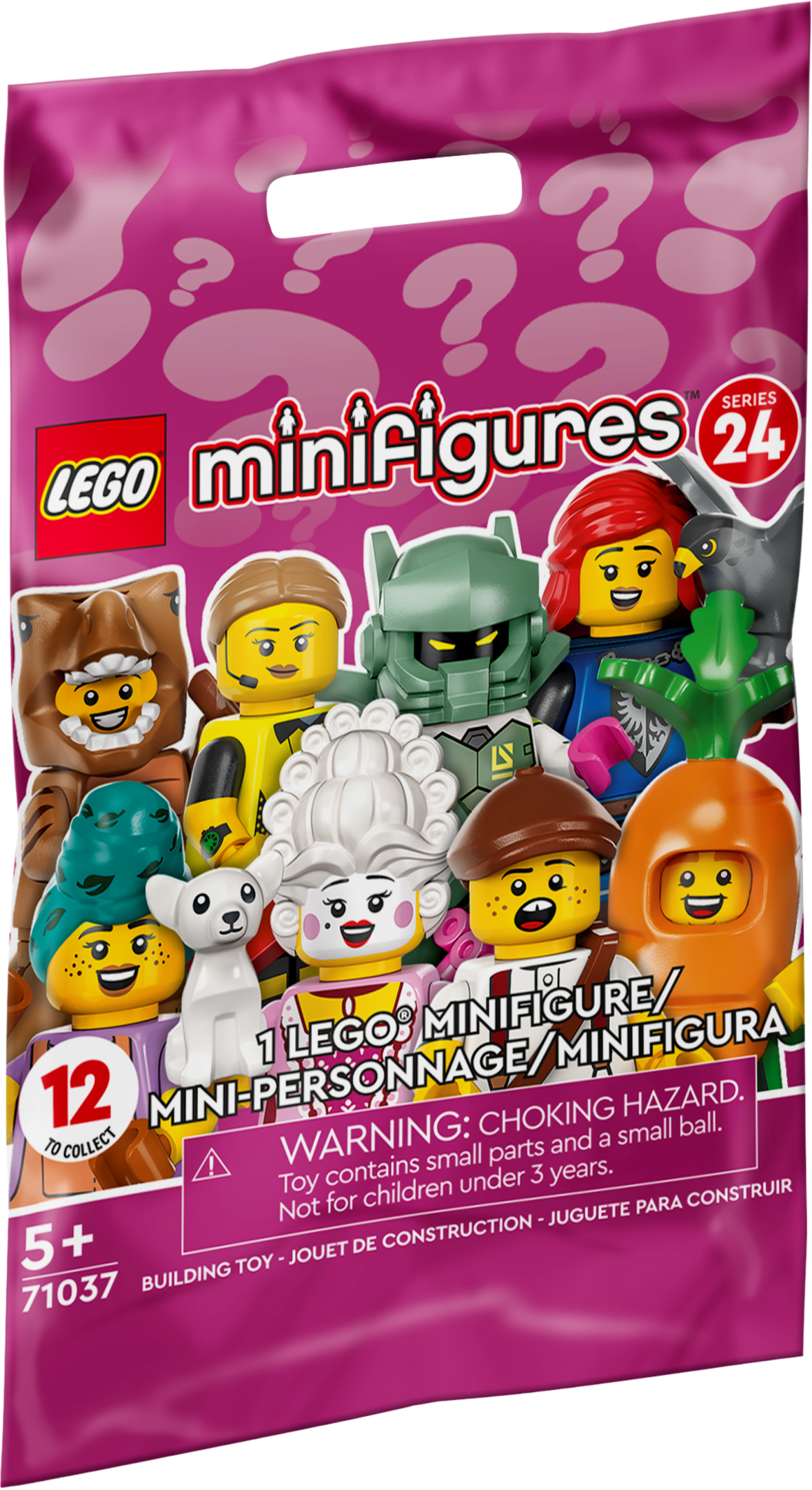 Main image of LEGO Series 24 - Random Bag (71037-0)