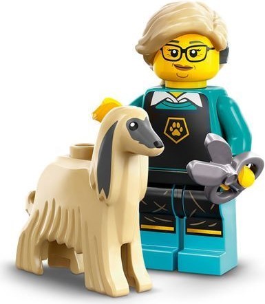 Main image of LEGO Pet Groomer (71045-12)