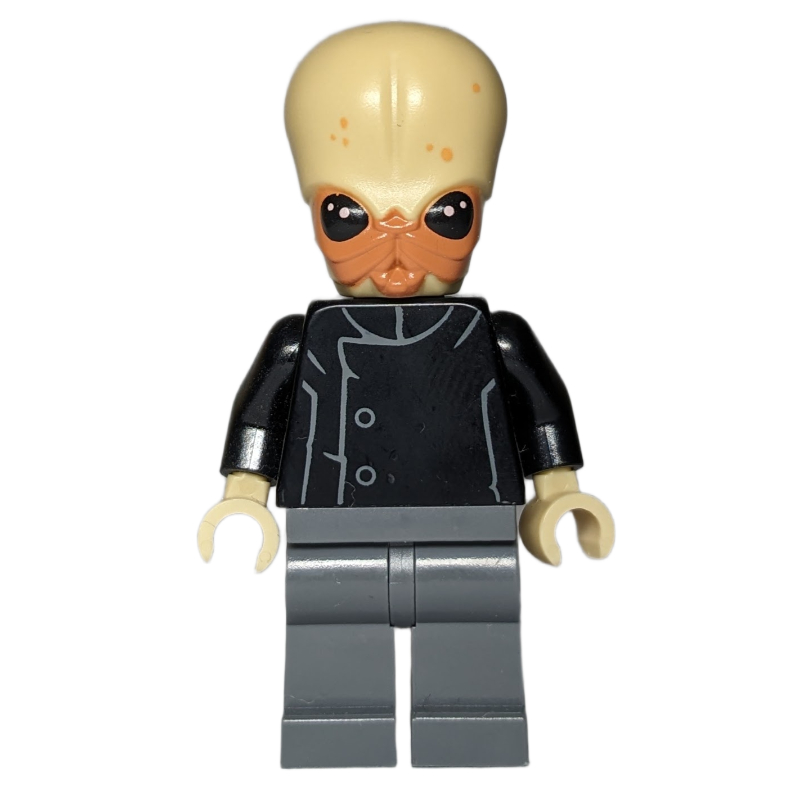 LEGO Bith Musician