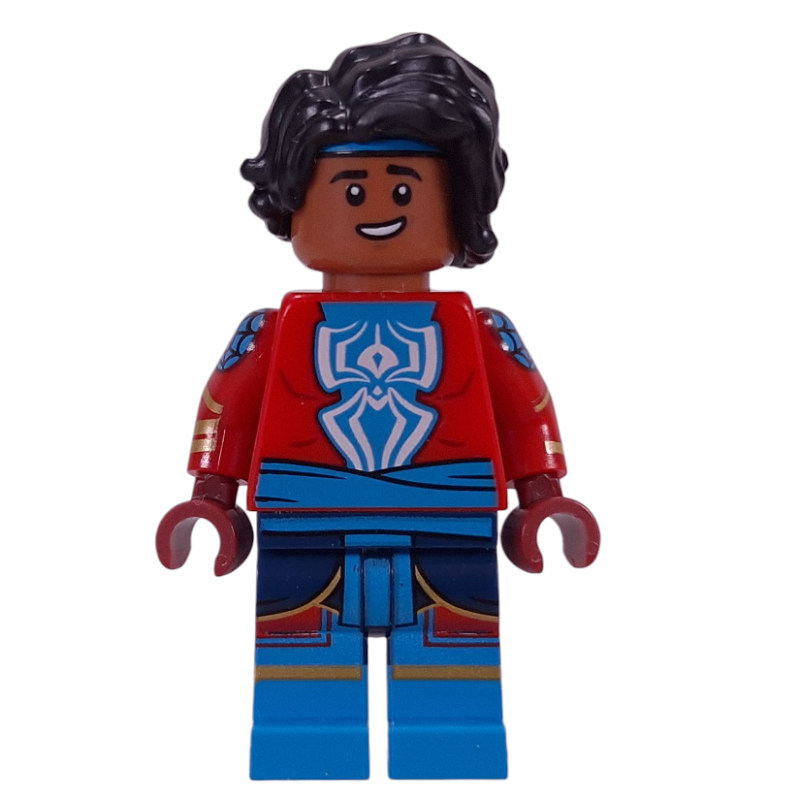 Pavitr Prabhakar / Spider-Man India