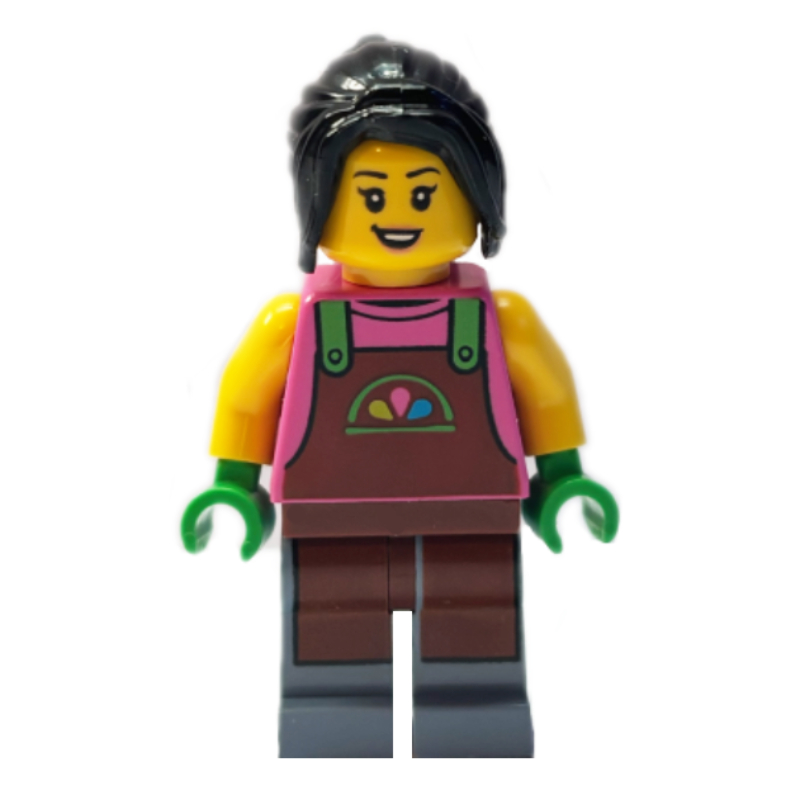 LEGO minifigure fig-017548