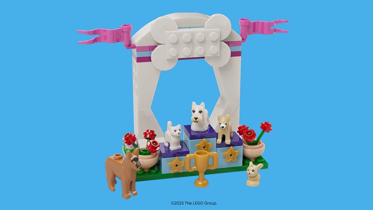 Creativity Workshop: Playful Pets