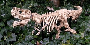 シングレット Dinosaur Fossils: Tyrannosaurus rex 76968 | Jurassic World™ | Buy