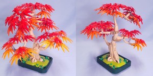 その他 red tree Japanese_Red_Maple_Bonsai_Tree