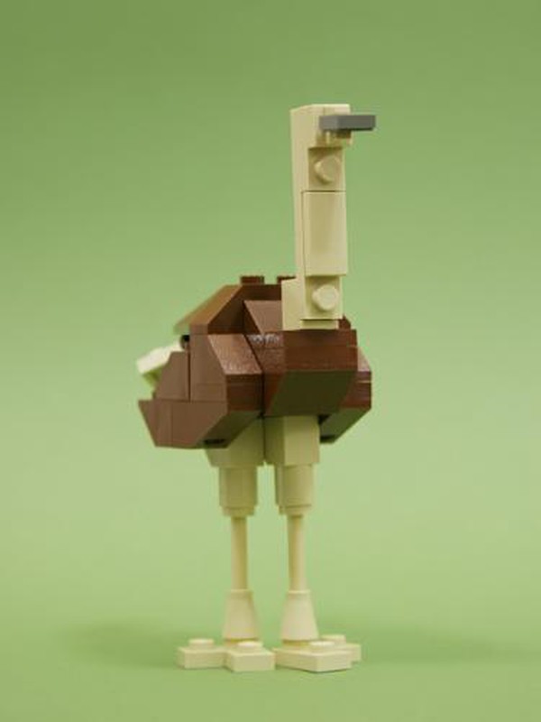 LEGO MOC Ostrich Female by conv-MisaQa | Rebrickable - Build with LEGO