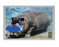 31054 - Hippo Head