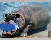 LEGO MOC-10872 31054 - Hippo Head by LegoOri | Rebrickable - Build