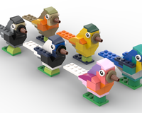 11011 Birds