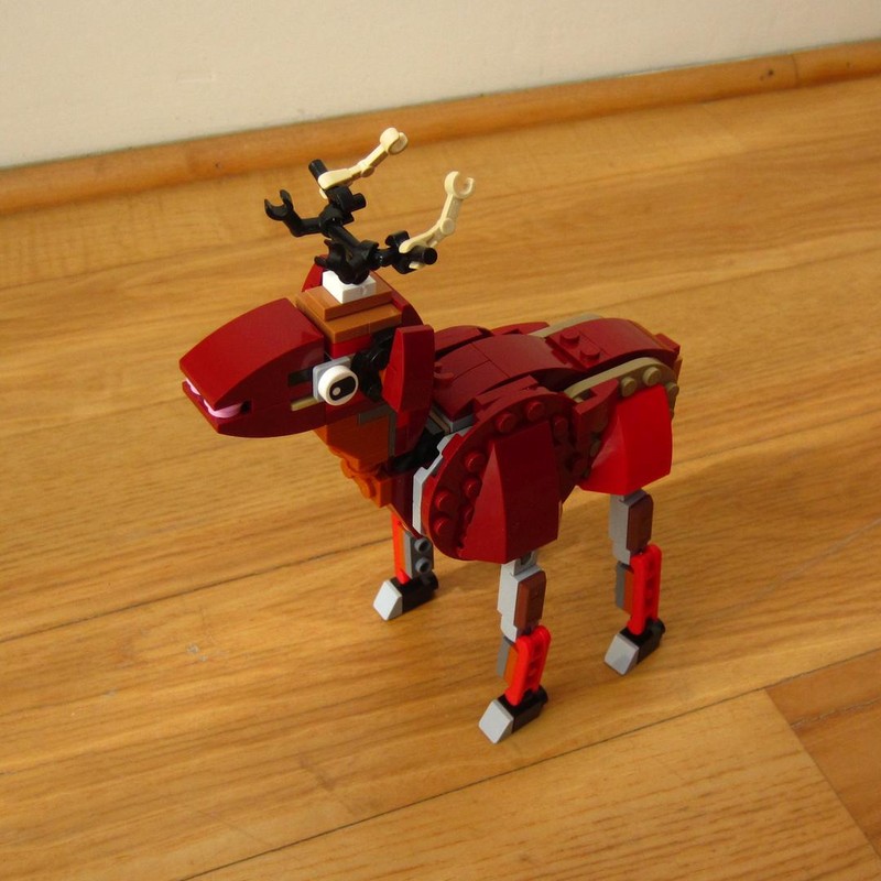 Reindeer