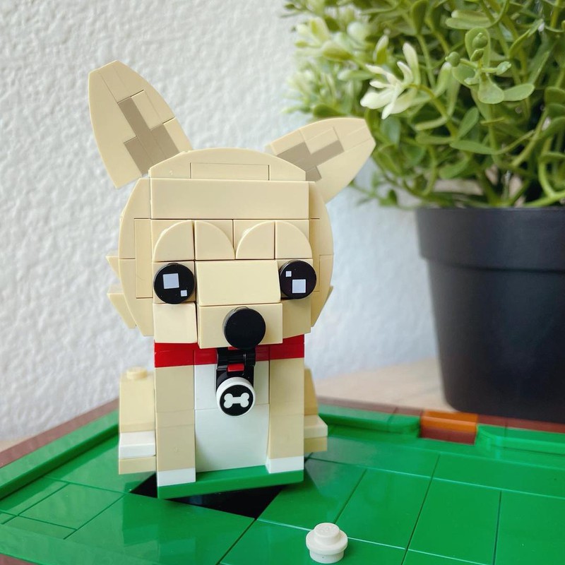 LEGO MOC Pomchi puppy on pool table by SFOMM | Rebrickable - Build with ...