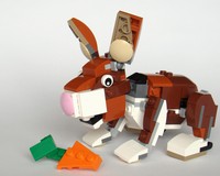 31044: Rabbit