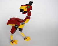 31073: Phorusrhacos