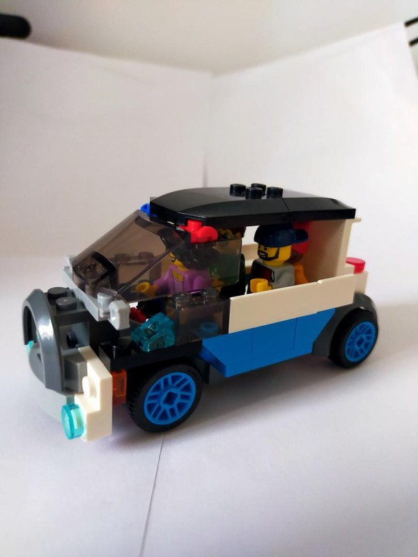 60291 Car for the Whole Family