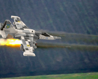 frogfoot.0035様 確認用 200x160c.jpg?1753207093.159515