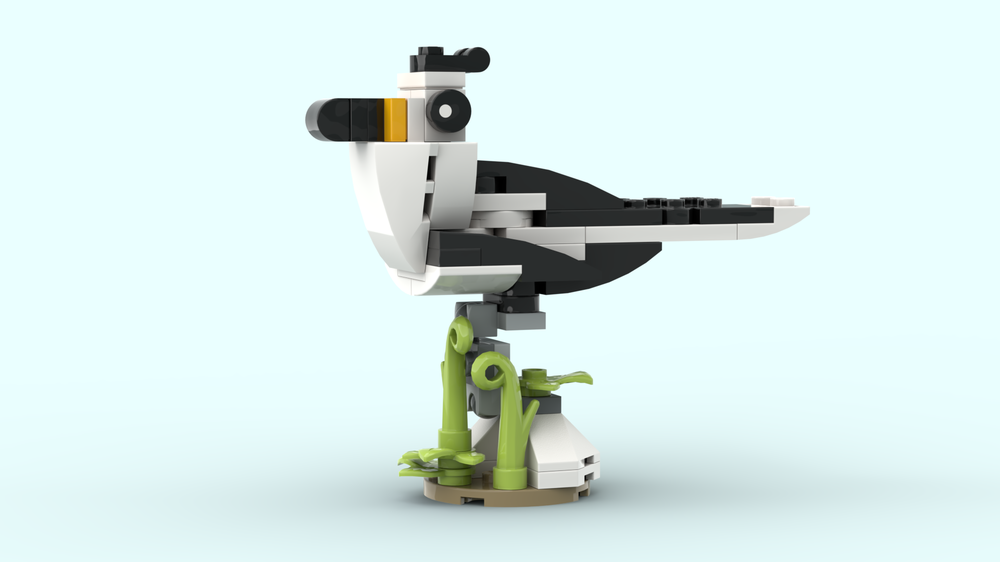 30641 Bird