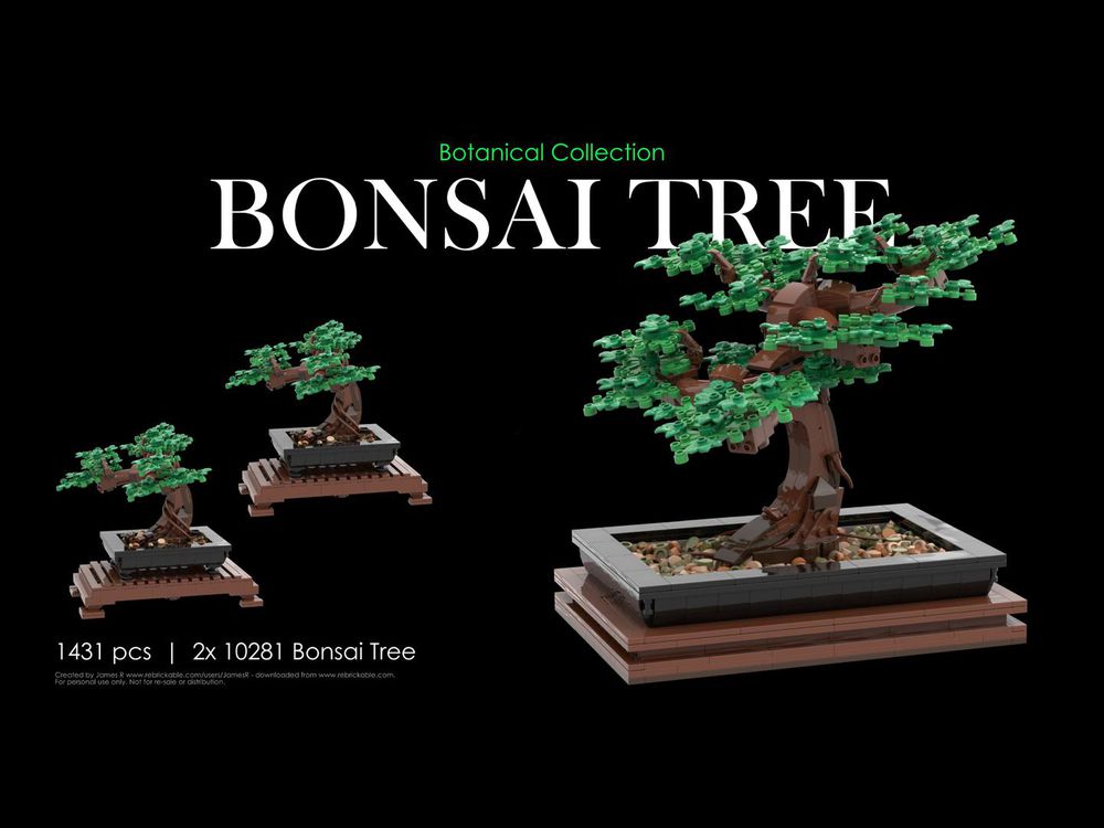 Bonsai Tree 10281, The Botanical Collection