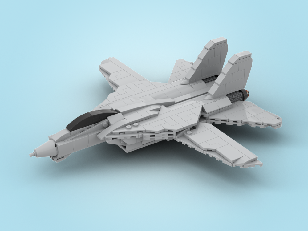 F-14 Tomcat (1/72 scale)