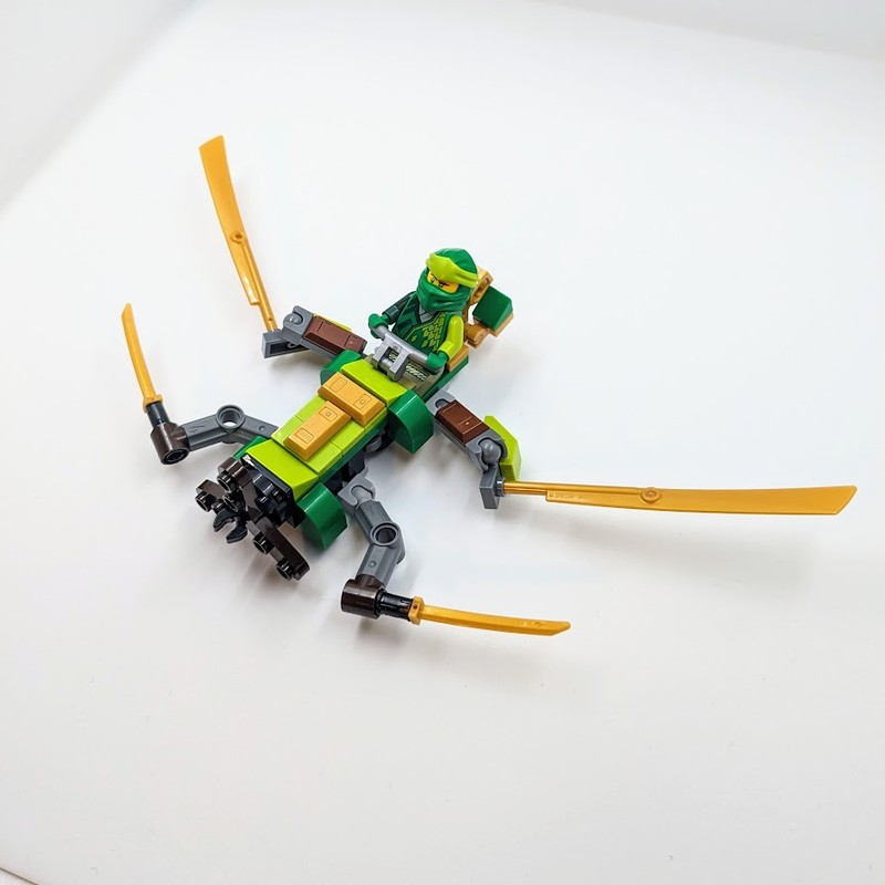 Lloyd’s Flying Meca Insect