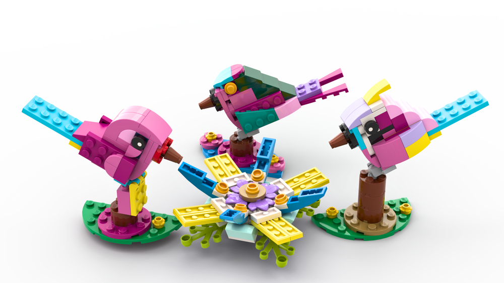 31144 3 Birds