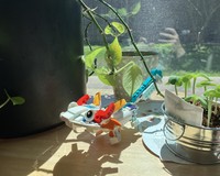31140 - Axolotl