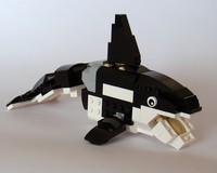 31021: Killer Whale
