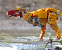 200x160c.JPG?1752931298.8355825