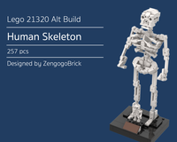 21320 Human Skeleton