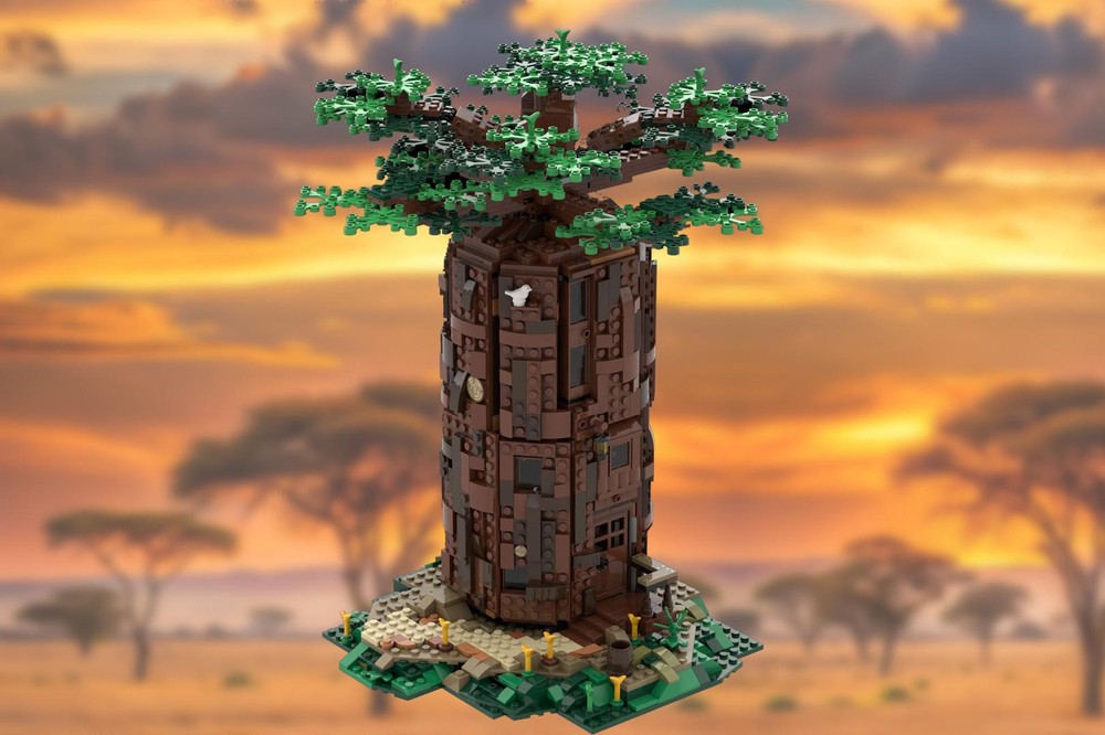 Living in a baobab