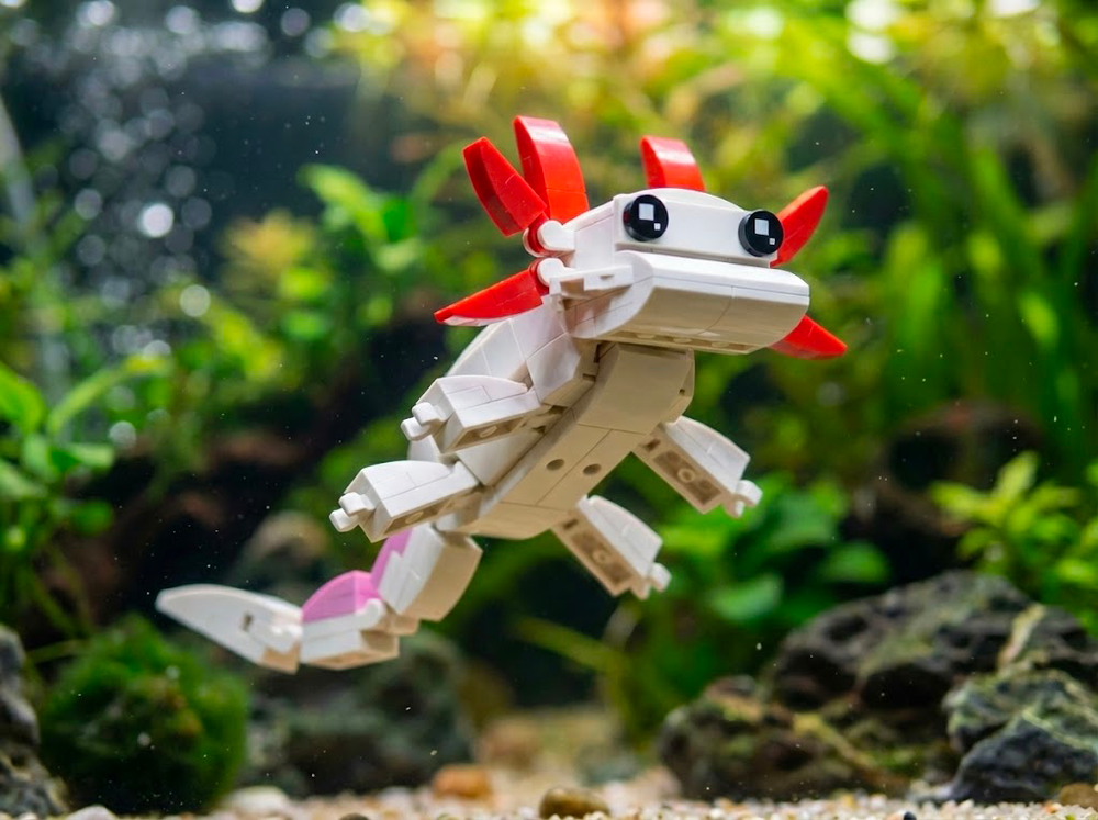 LEGO MOC Axolotl (Ambystoma mexicanum) by DiegoFontana Rebrickable