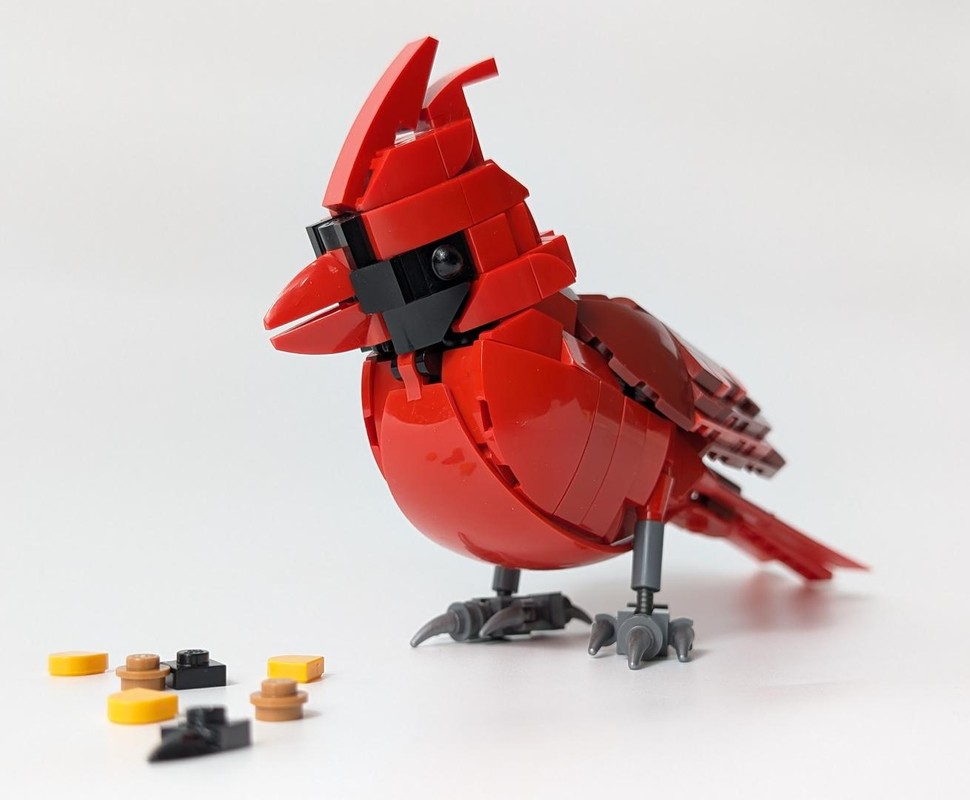 Northern Cardinal