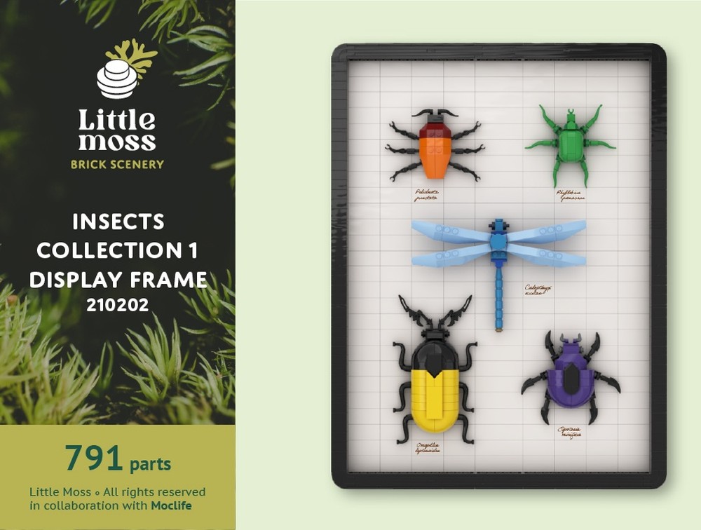 LEGO MOC-210202 Insects Collection 1 - Display Frame by Little moss ...