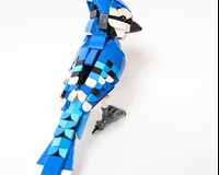 LEGO MOC Bluejay by Roldan | Rebrickable - Build with LEGO