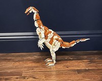 Erlikosaurus andrewsi no scale