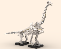 Brachiosaurus Display Skeleton