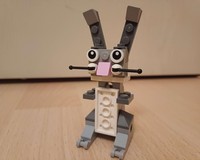 Cute Rabbit