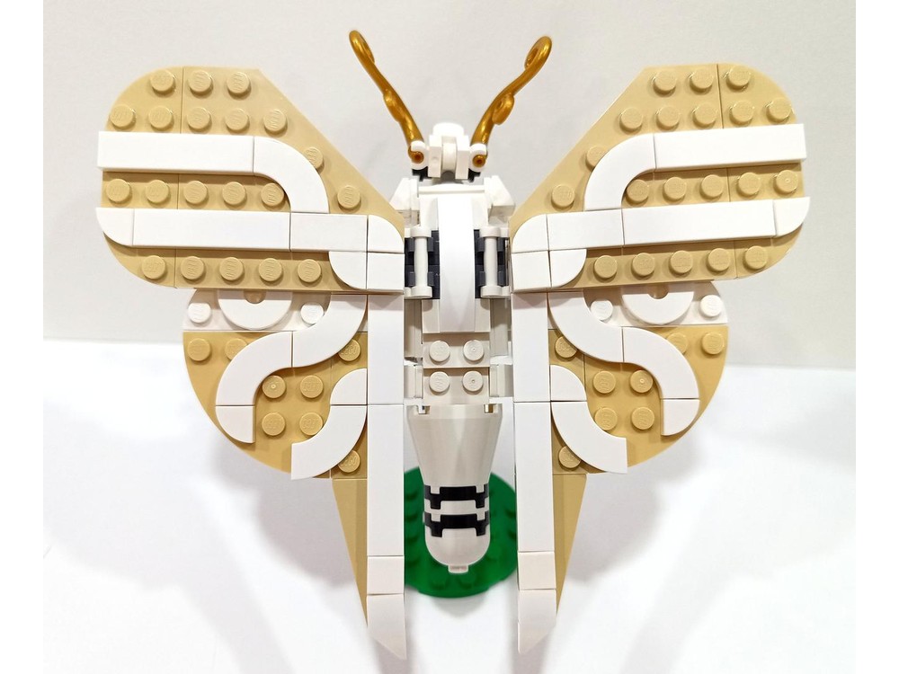 LEGO MOC-225877 Insect Collection by NoParadise_Bricks | Rebrickable ...