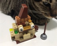 Mysterious Object