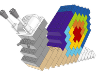 11005 Rainbow Snail