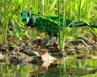 31058 Pycnonemosaurus nevesi