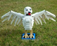 The Millennium Gull