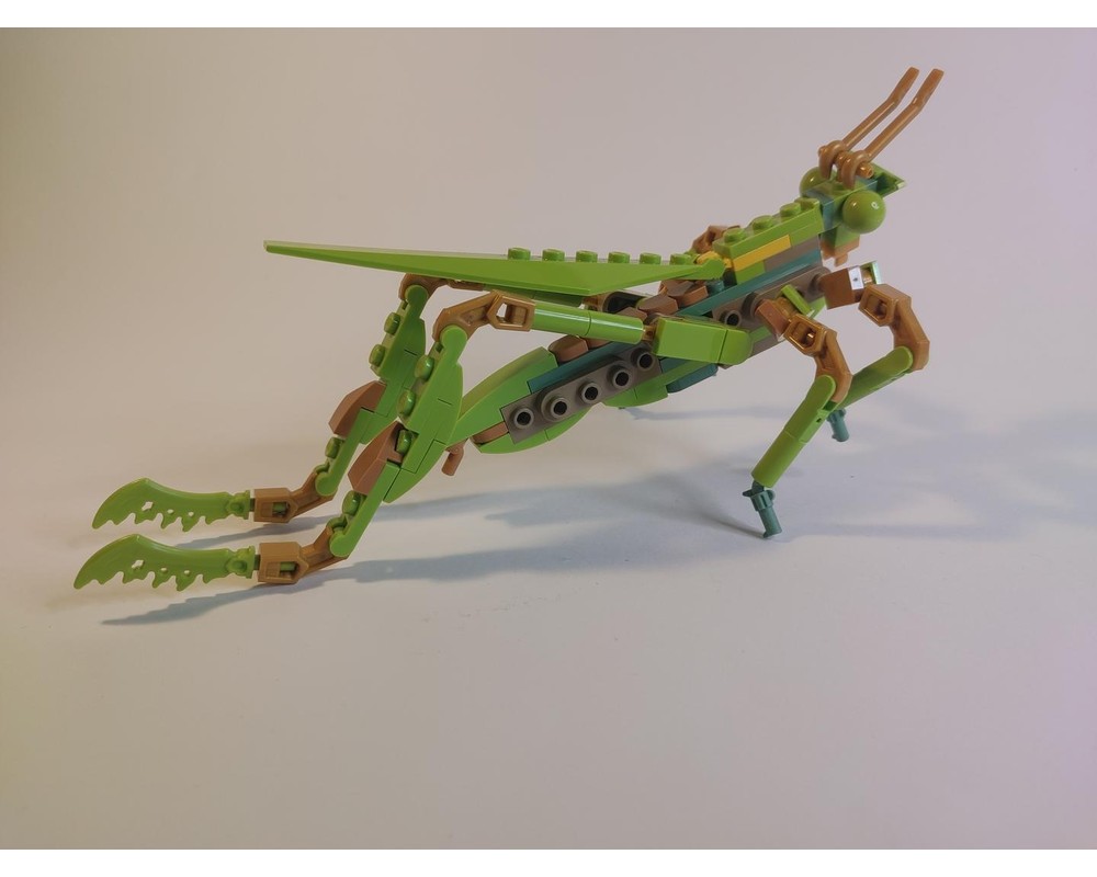 LEGO MOC-236770 Grasshopper - Chinese Mantis 21342 alternate build by ...