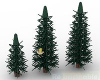Pine trees