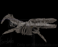 21320 Blue Whale (Balaenoptera musculus)