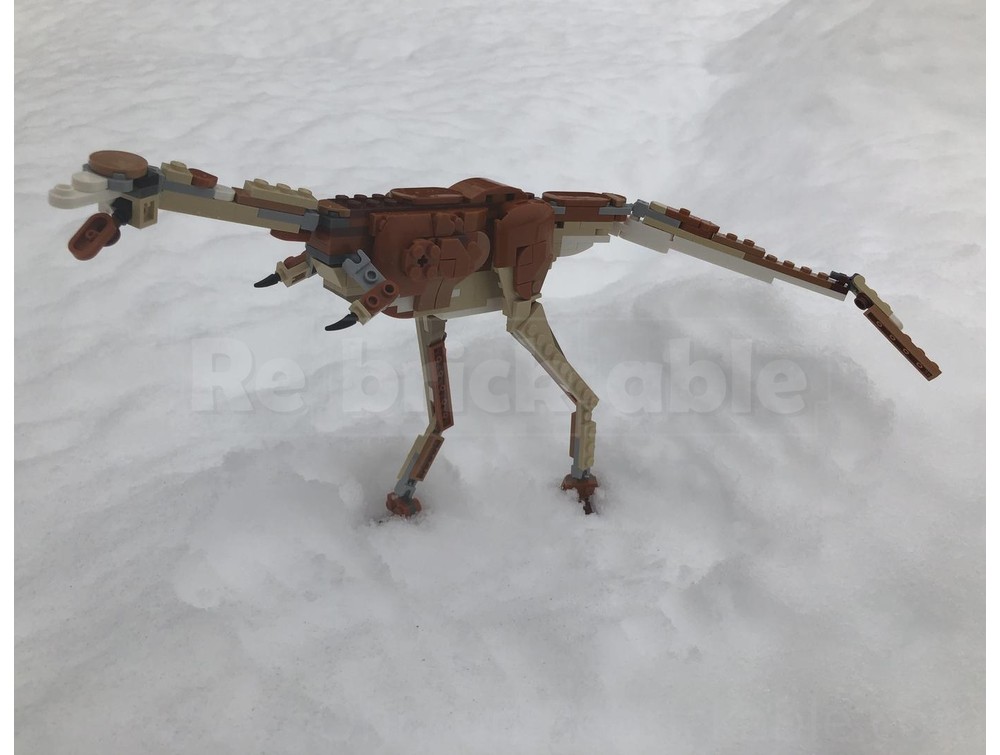 LEGO MOC Life Sized juvenile Parvicursor Remotus by ERP | Rebrickable ...