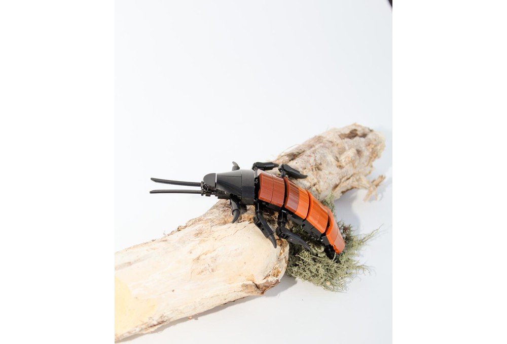 LEGO MOC-247736 Madagascar Hissing Cockroach by heyoka | Rebrickable ...