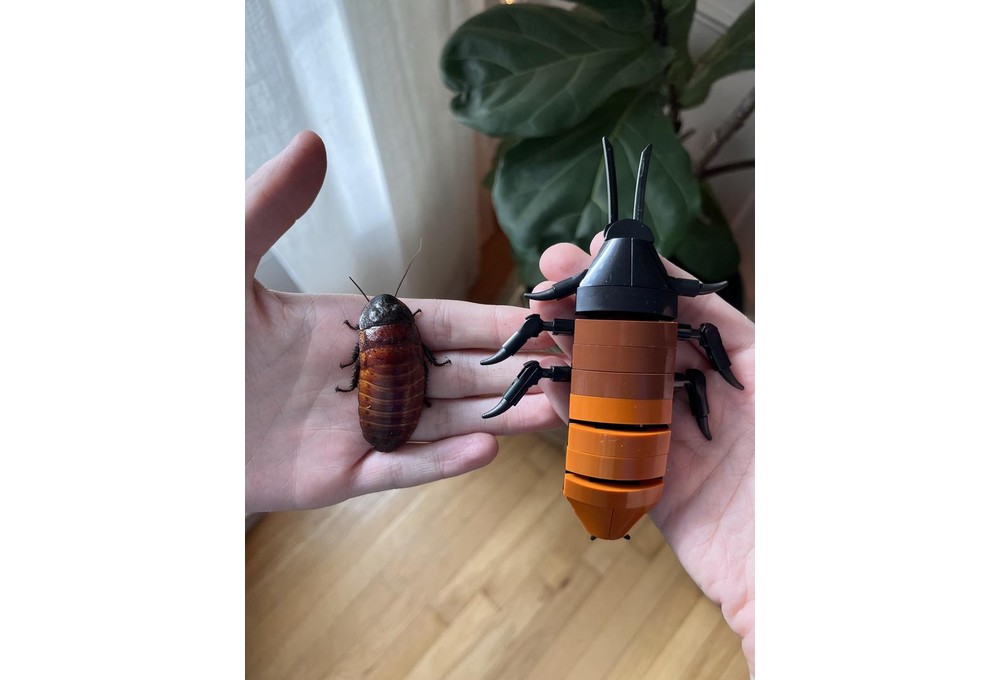 LEGO MOC-247736 Madagascar Hissing Cockroach by heyoka | Rebrickable ...