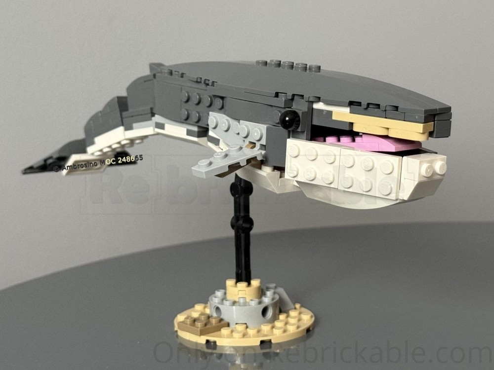 LEGO MOC-248665 31381 Fin whale by Ambrosino | Rebrickable - Build