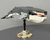 31381 Fin whale